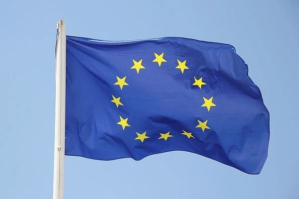 ES sāk reģistrēt Ķīnas oglekļa tērauda stiprinājumu importu